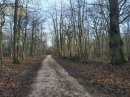 Bois des Trous